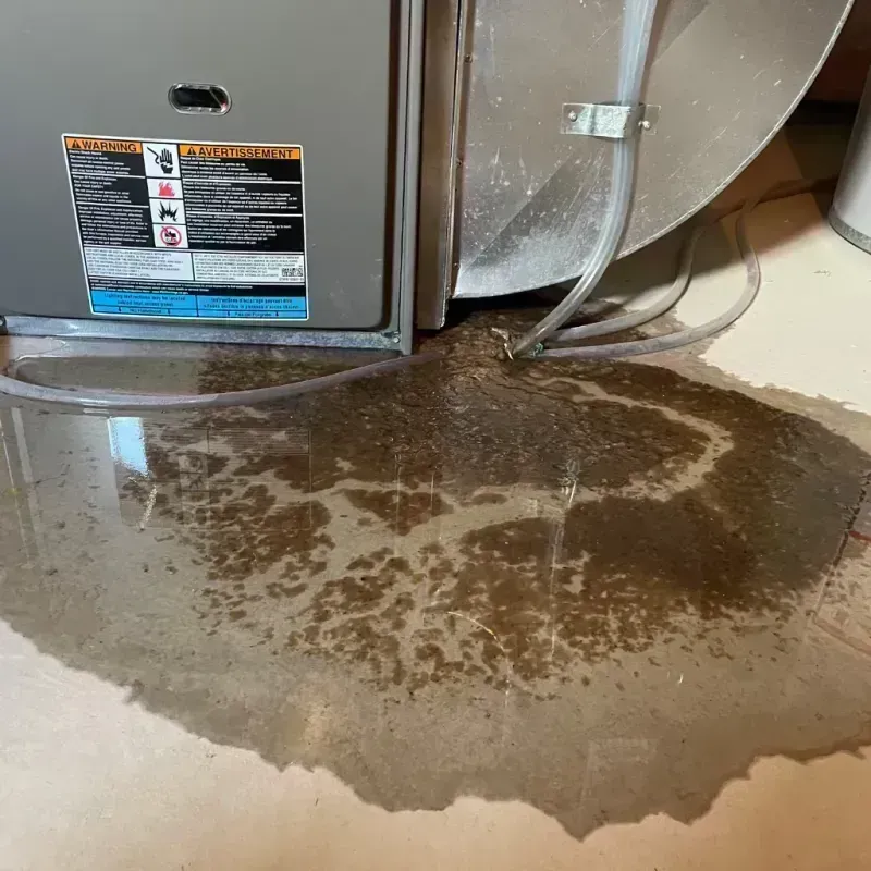 Appliance Leak Cleanup in Normal, IL